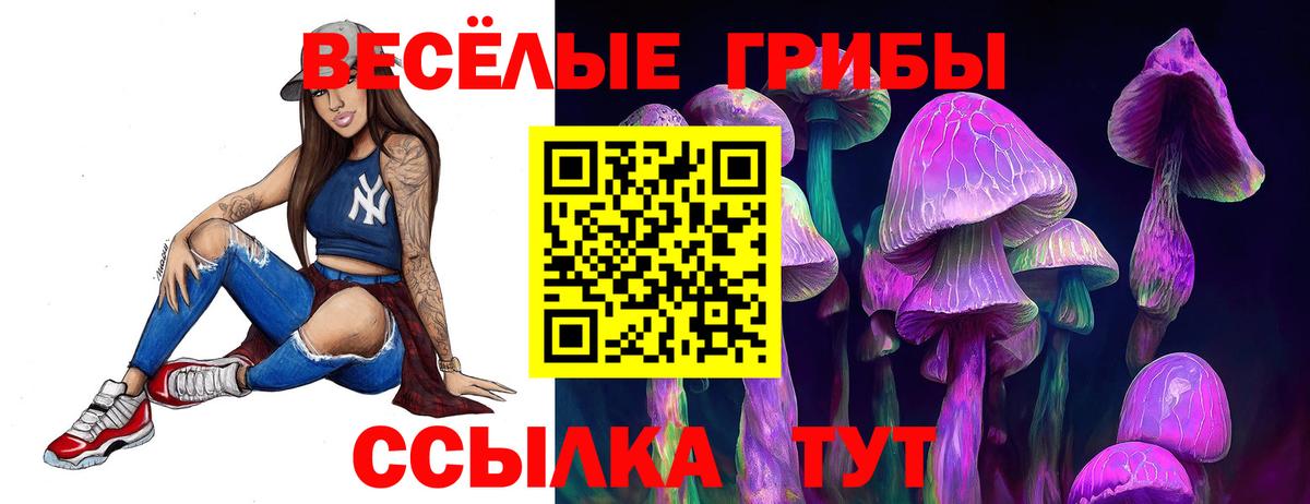 Псилоцибиновые грибы мицелий  Вход с VPN  Богданович  Псилоцибиновые грибы Psilocybine cubensis 